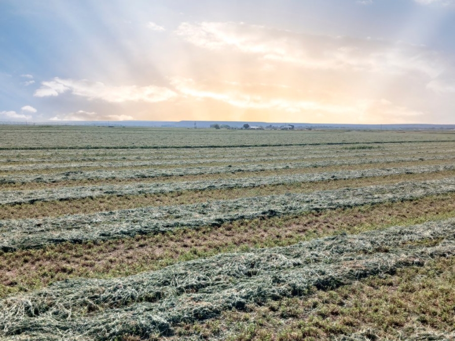 Commercial Property for Sale in Douglas Rural Northern Cape
